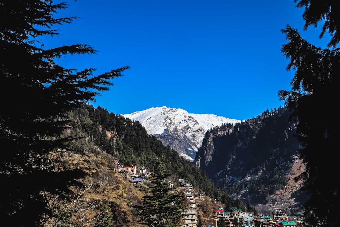 Shimla